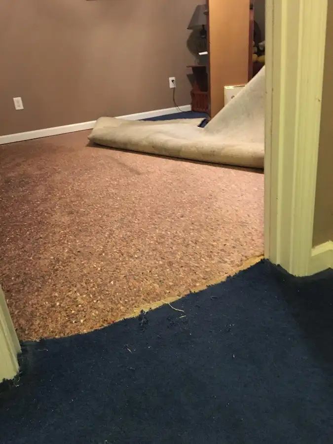 Carpet pad removal revealing water damage during Water Mitigation Services in Radcliff