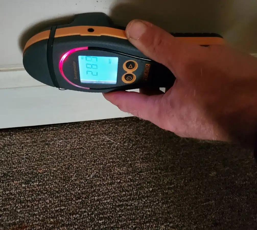 Moisture detection at baseboard during Mold Inspection & Testing in Radcliff
